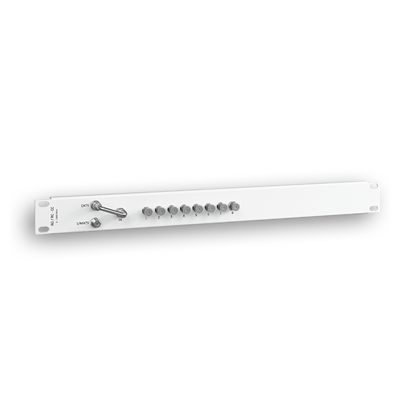 RAQUITED 19