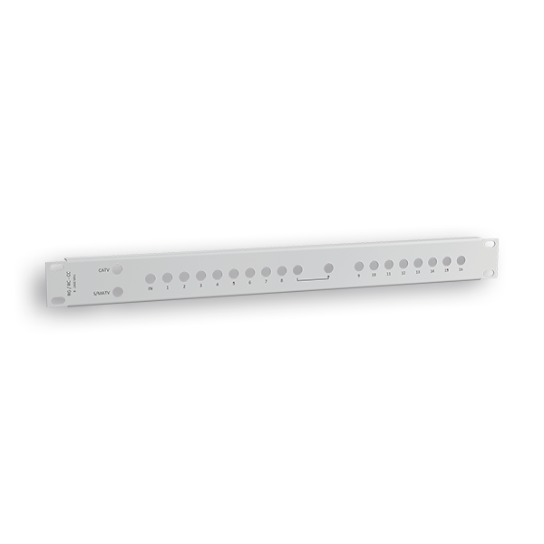 RAQUITED 19