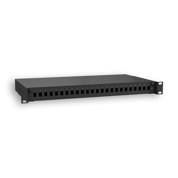 RAQUITED 19